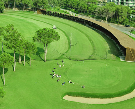 betuyab-sueno-golf-card.jpg
