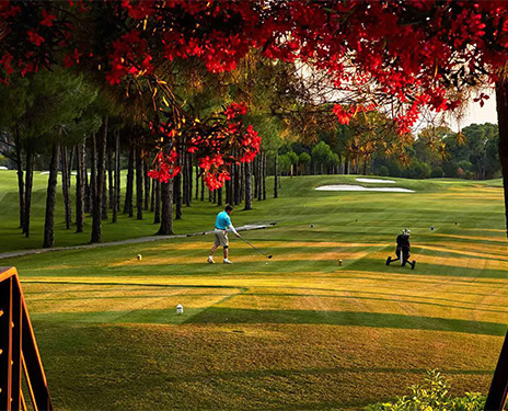 betuyab-gloria-golf-club-card.jpg