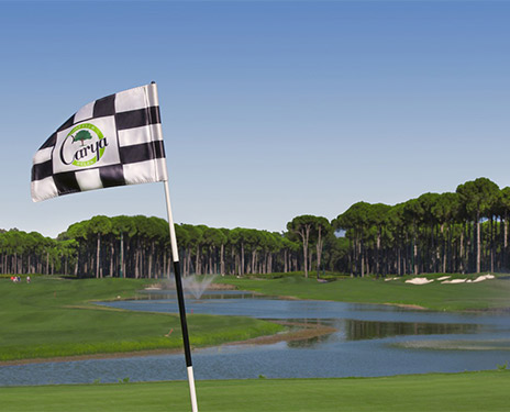 betuyab-carya-golf-card.jpg