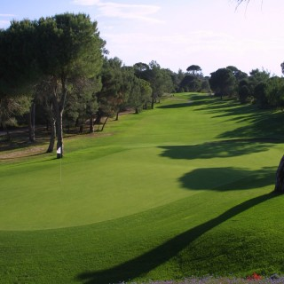 belek-avatar-1.jpg
