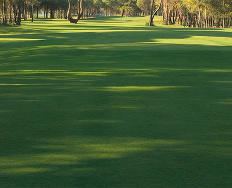 kaya-palazzo-golf-card.jpg