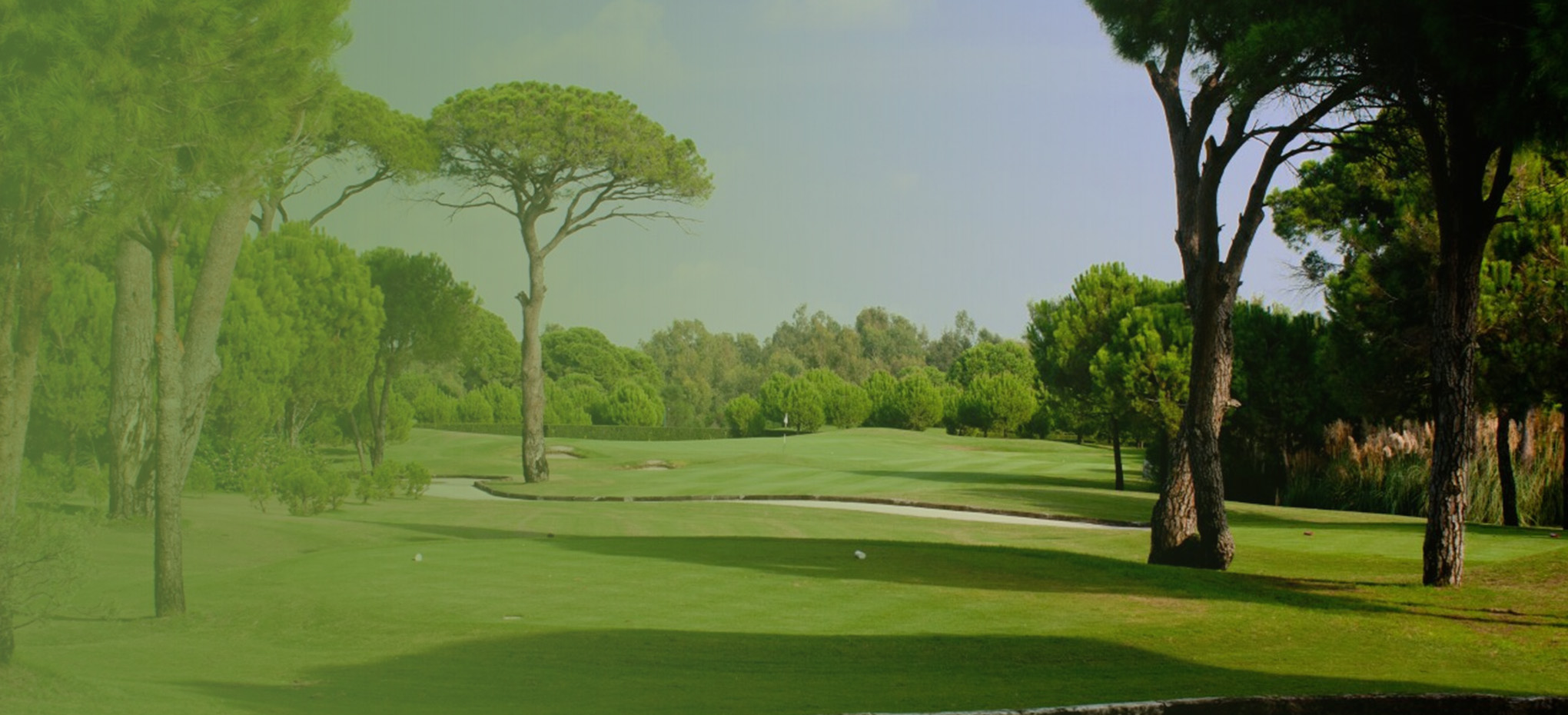 betuyab-belek-hakkinda-golf.jpg