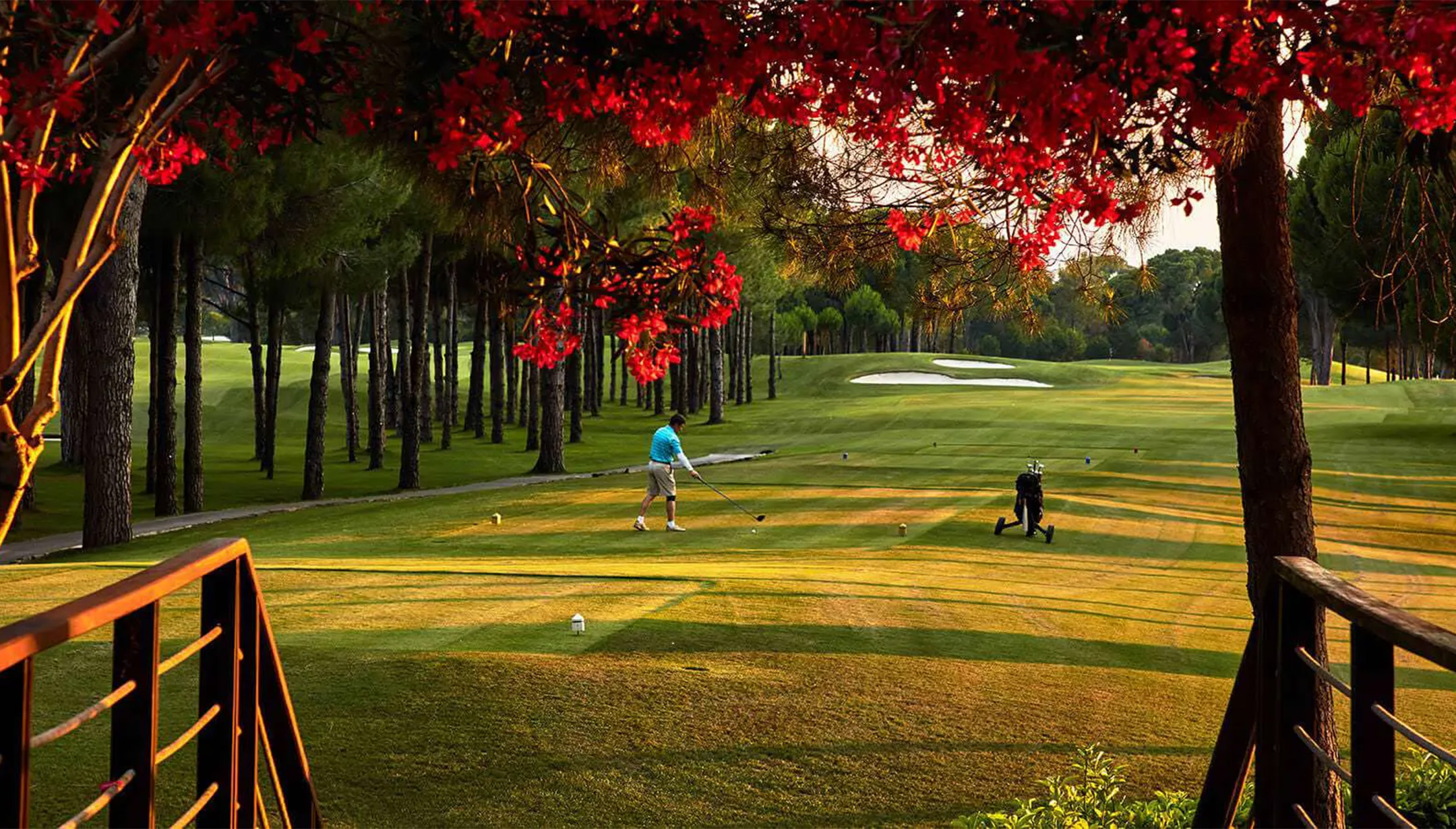 betuyab-gloria-golf-club-banner.jpg