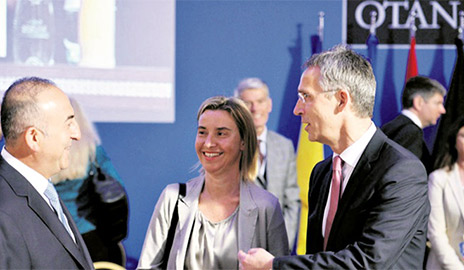 betuyab-nato-card.jpg