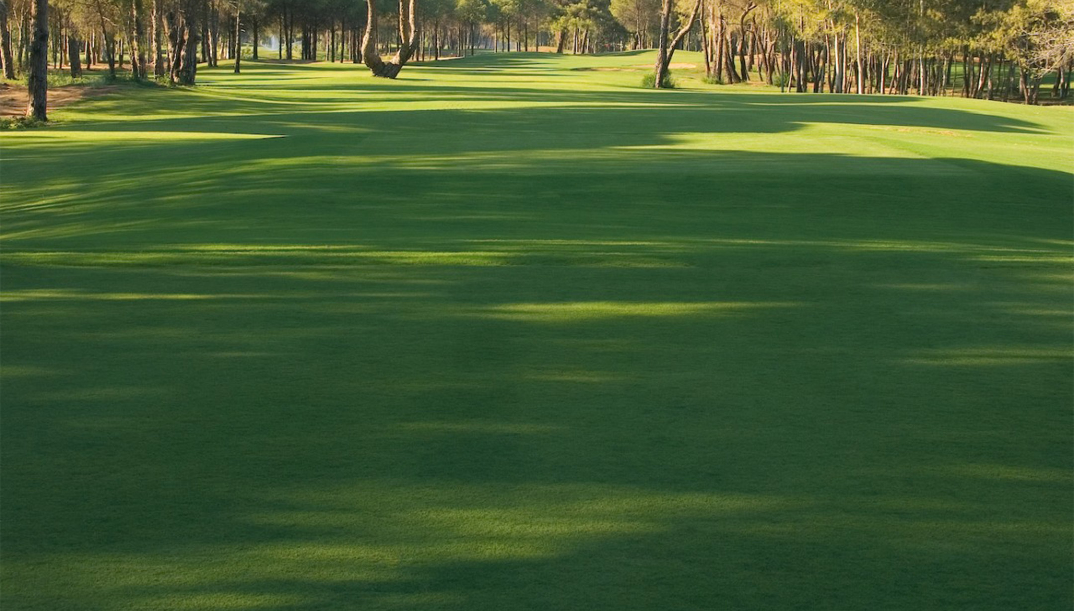 kaya-palazzo-golf-banner.jpg