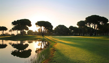 betuyab-golf-card.jpg