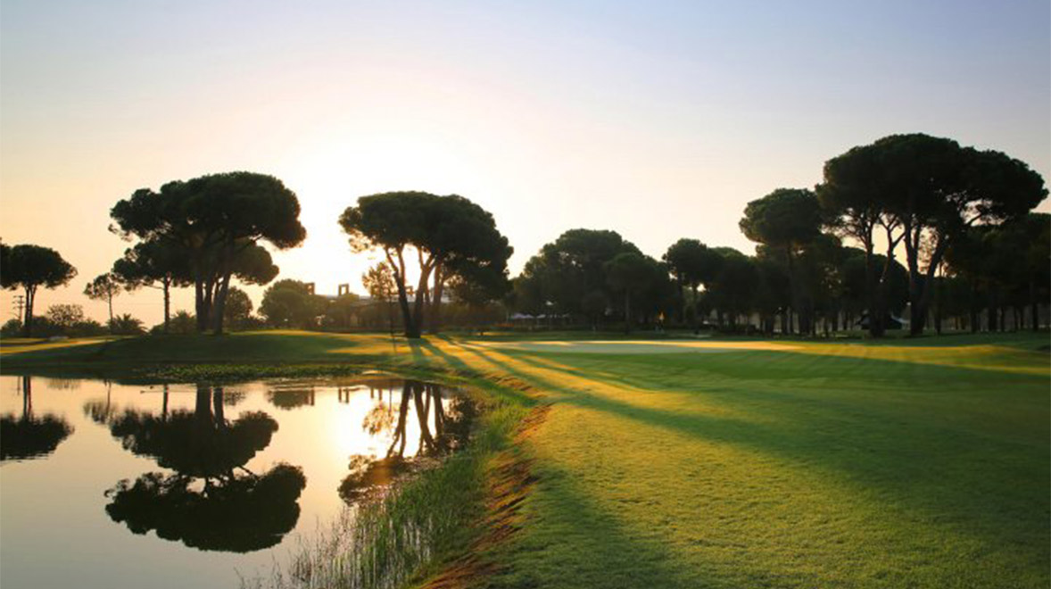betuyab-golf-banner.jpg